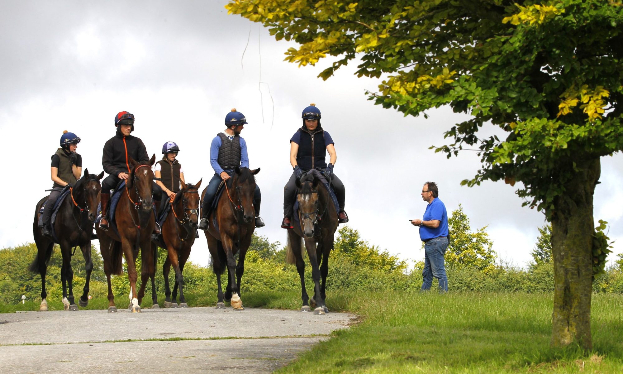 Alan King Stable Visit. 2nd Lot. 26/7/2024 Pic Steve Davies