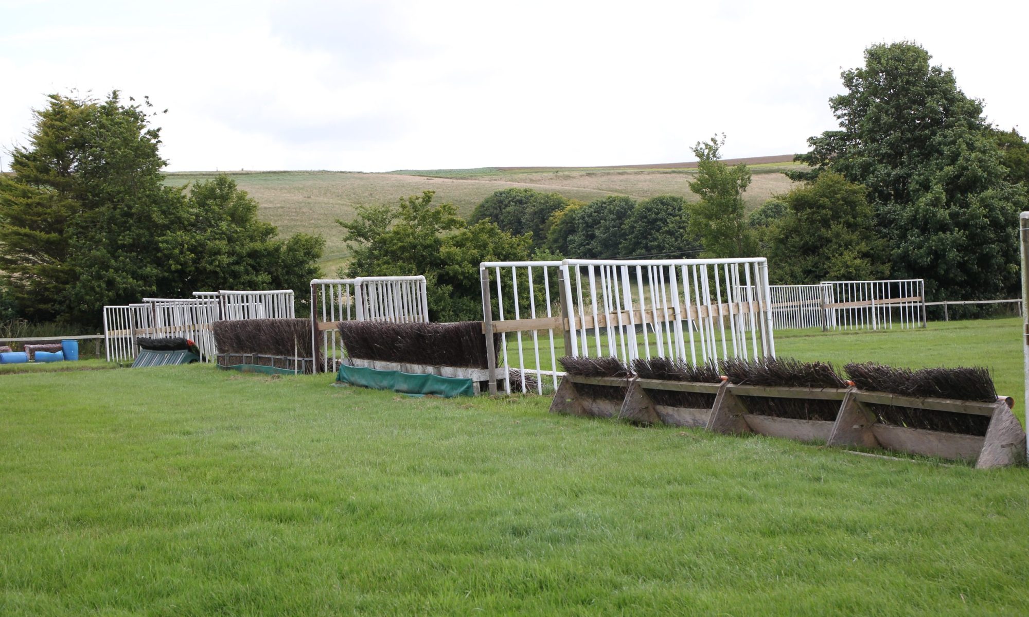 Alan King Stable Visit [Others]. 26/7/2024 Pic Steve Davies