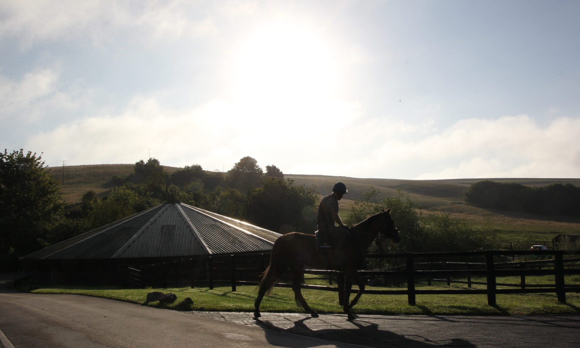 Alan King Stable Visit. 26/7/2024 Pic Steve Davies