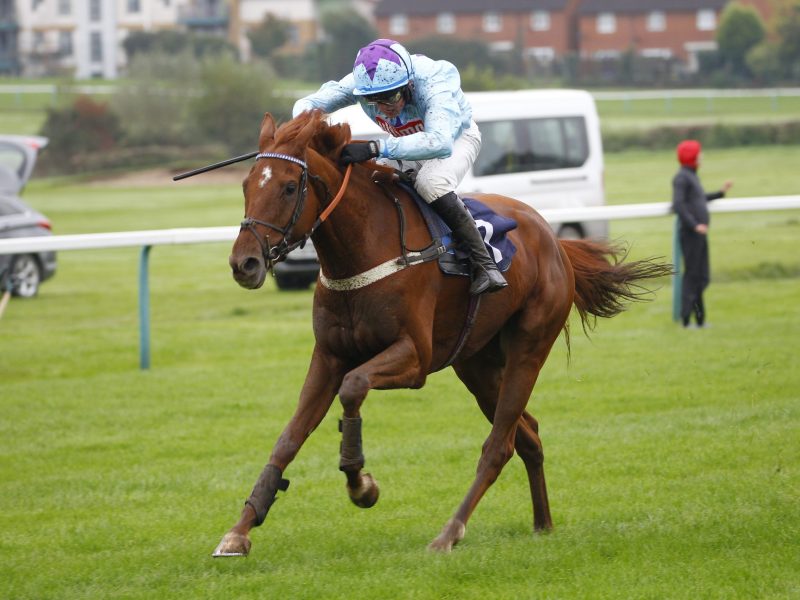 Baskerville and Oscar Palmer at Hereford. 14/10/2024 Pic Steve Davies/Racingmediapics.co.uk