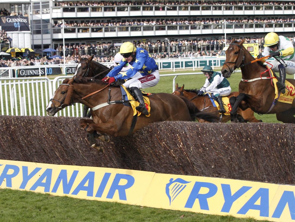 Es Perfecto at Cheltenham. 13/3/2025 Pic Steve Davies/Racingmedi