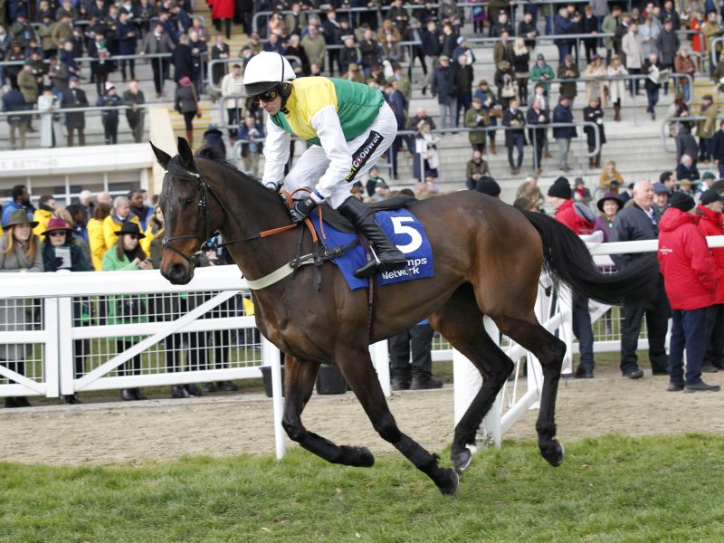 Harbour Lake at Cheltenham. 13/3/2025 Pic Steve Davies/Racingmediapics.co.uk