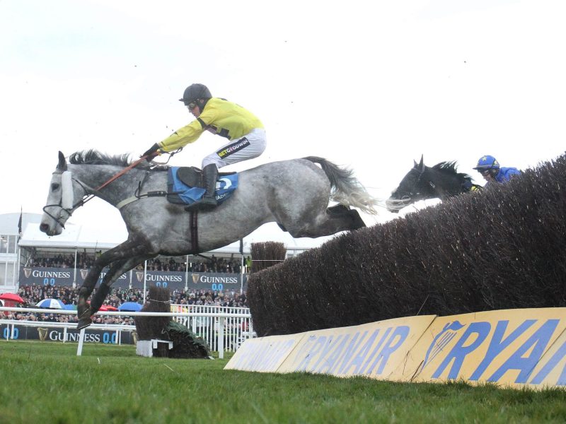 Masaccio at Cheltenham. 13/3/2025 Pic Steve Davies/Racingmediapics.co.uk