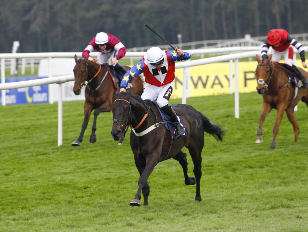 Baron Noir and Mr R James wins the JP & M Doyle INH Flat Race fo Baron Noir and Mr R James wins the JP and M Doyle INH Flat Race for trainer Alan King and owners the Noel Fehily Racing Club at Punchestown. Photo: Steve Davies/Racingmediapics.co.uk