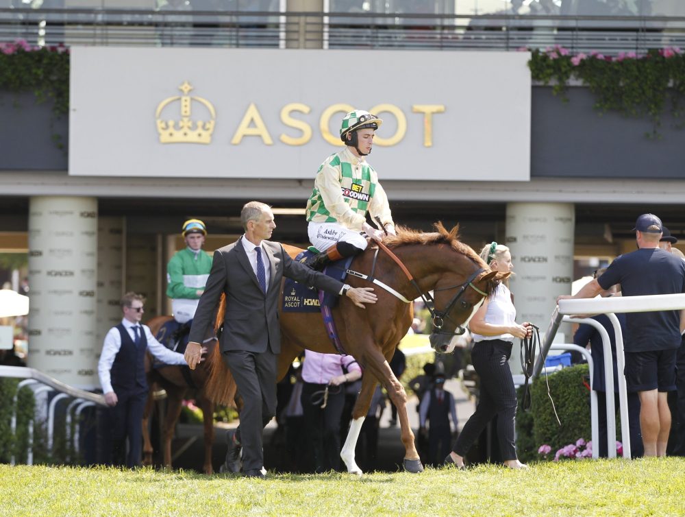 Daiquiri Bay at Royal Ascot. 19/6/2025 Pic Steve Davies/Racingmediapics.co.uk Daiquiri Bay at Royal Ascot. 19/6/2025 Pic Steve Davies/Racingmediapics.co.uk