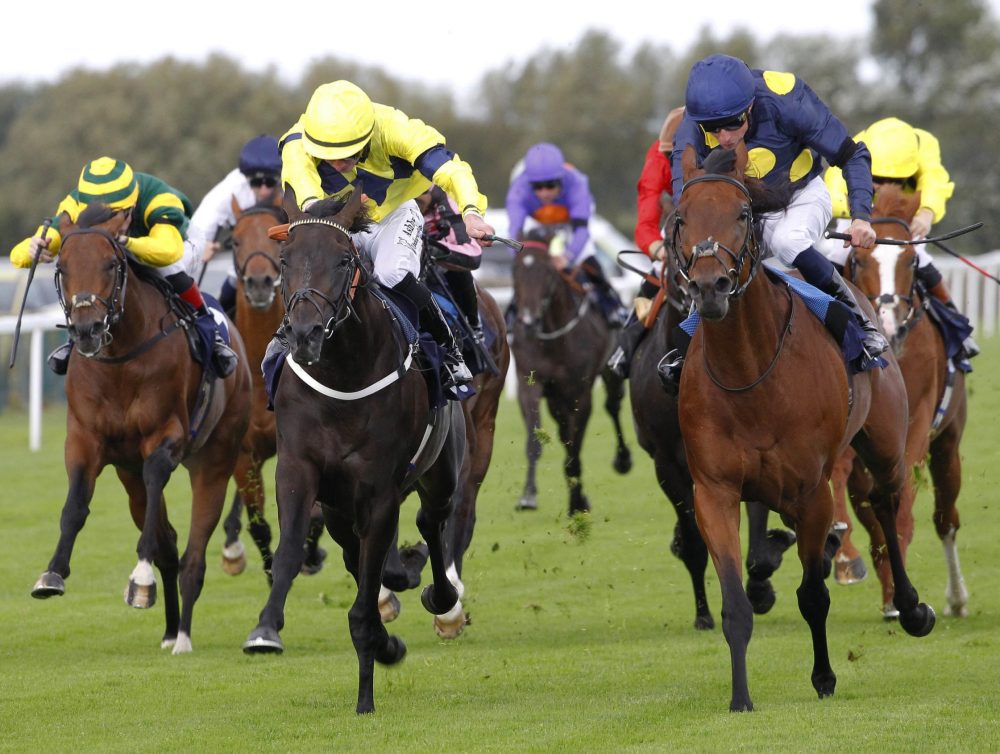 www.racingmediapics.co.uk www.racingmediapics.co.uk